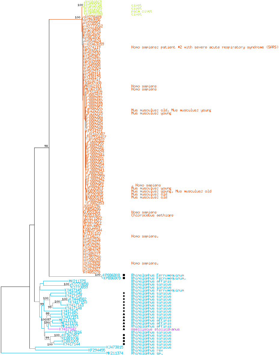 phylogeny SARS 1