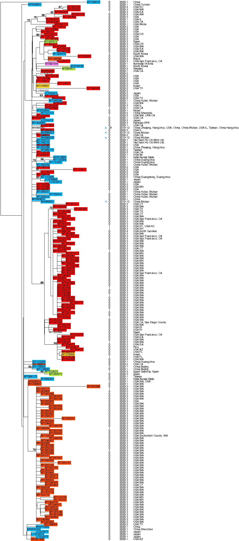 phylogenomic covid19