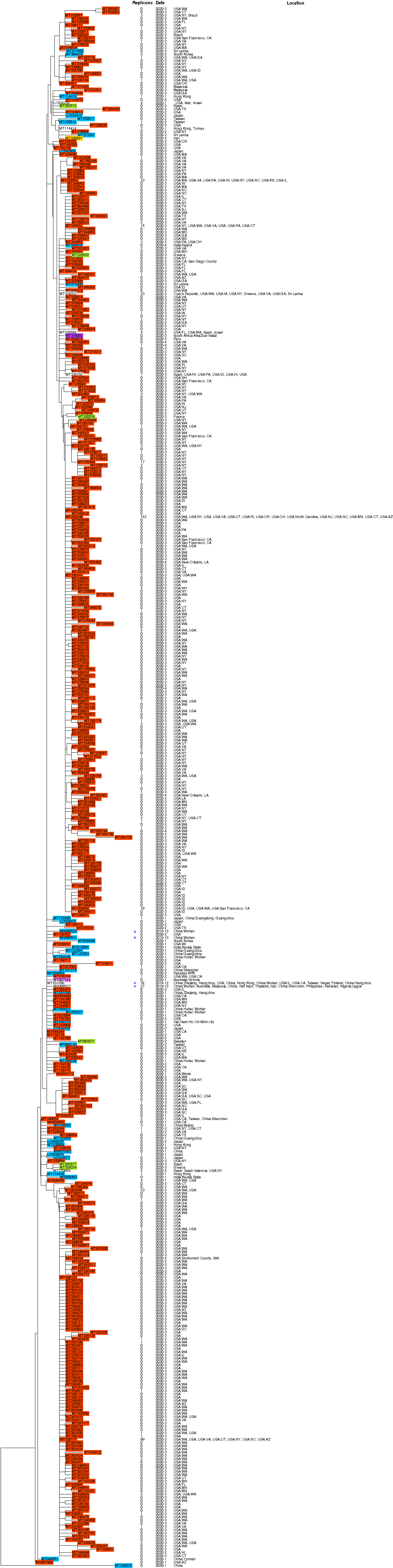 phylogeny covid19